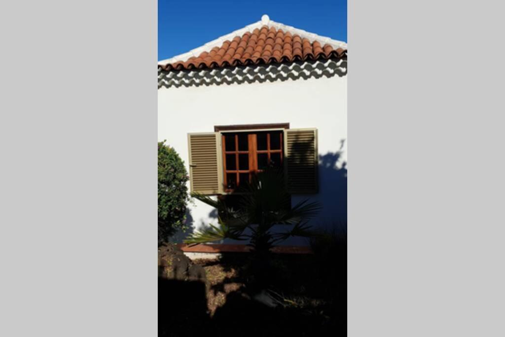 Villa La Paz Puerto de la Cruz  Exteriör bild