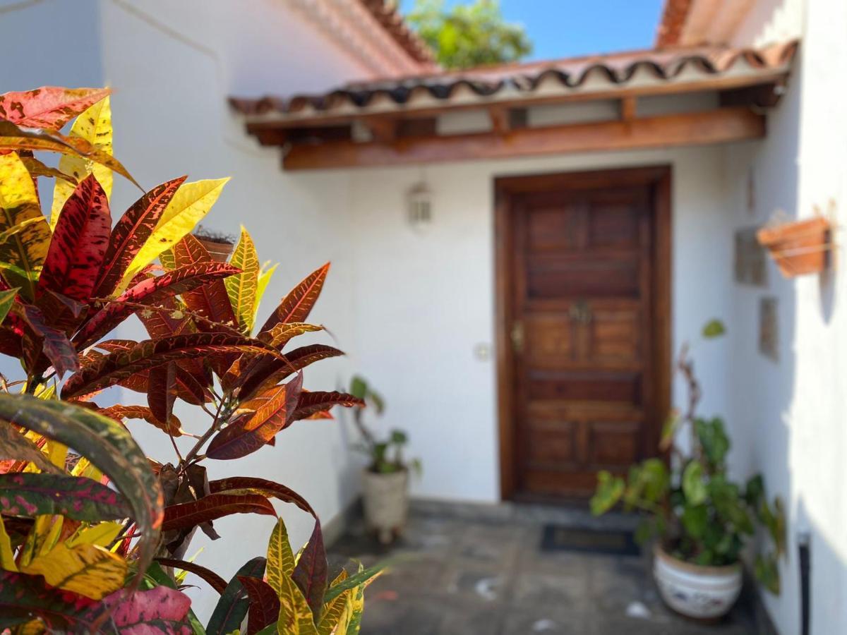 Villa La Paz Puerto de la Cruz  Exteriör bild