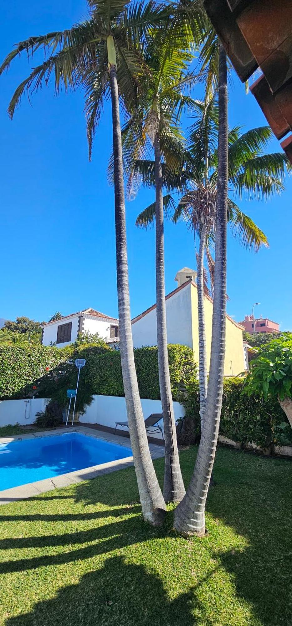 Villa La Paz Puerto de la Cruz  Exteriör bild